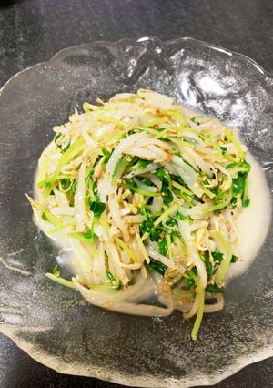 レンジで簡単副菜！もやしと豆苗のナムル-レシピのメイン写真