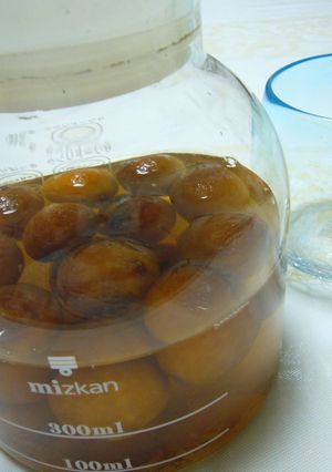 ごくごく飲めるびわのサワードリンク-レシピのメイン写真