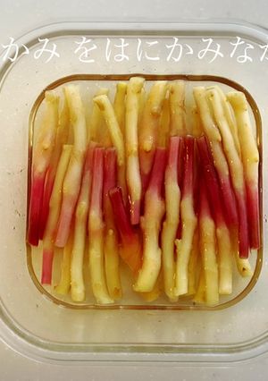『はじかみ』 甘酢生姜 生姜の芽甘酢-レシピのメイン写真