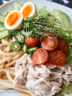 ごま+醤油こうじダレで食べるサラダうどん-レシピのメイン写真
