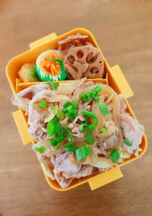 豚肉と玉ねぎ炒め弁当☆-レシピのメイン写真