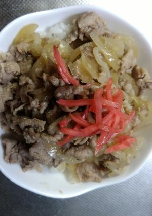 多めに作る豚丼-レシピのメイン写真