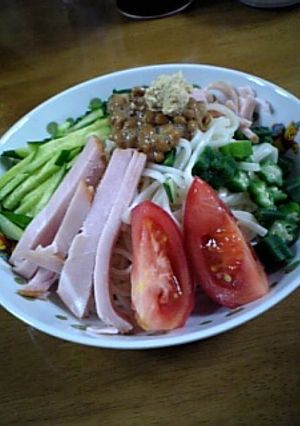 ☆ねばねばたっぷり☆冷やしうどん-レシピのメイン写真