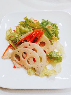 レンコンのサラダ-レシピのメイン写真