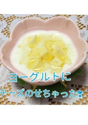 ヨーグルトにチーズのせちゃった❣-レシピのメイン写真