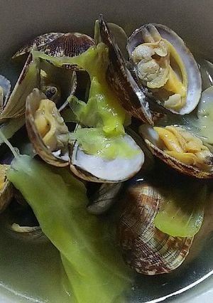 あさりと春キャベツのスープ-レシピのメイン写真
