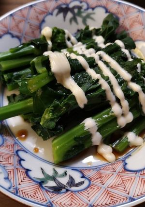 かき菜のおひたし-レシピのメイン写真