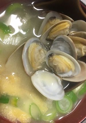 貝類（あさり）の味噌汁-レシピのメイン写真