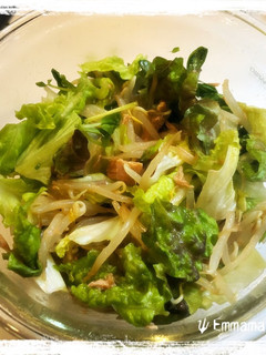 豆苗ともやしのサラダ-レシピのメイン写真