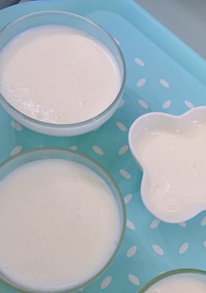 ヨーグルトババロア 簡単にできます！-レシピのメイン写真