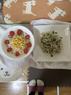 簡単!もやしとかいわれ大根のナムル-レシピのメイン写真