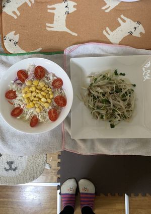 簡単！もやしとかいわれ大根のナムル-レシピのメイン写真