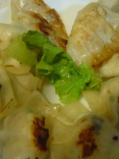 節約!ヘルシー餃子-レシピのメイン写真