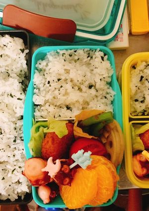 朝で完結・タコ入りおかずいっぱい弁当-レシピのメイン写真