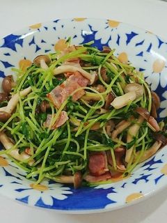 豆苗とベーコンとしめじのソテー-レシピのメイン写真