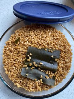 自家製の醤油麹-レシピのメイン写真