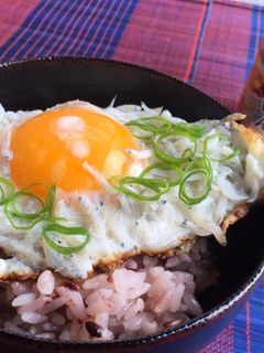 【たまごかけごはん醤油】でしらす目玉焼丼-レシピのメイン写真