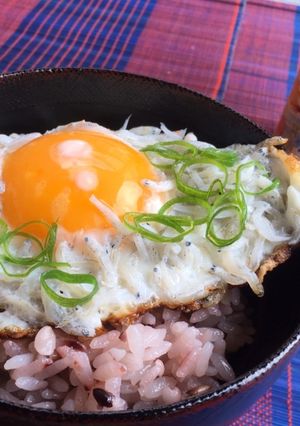 【たまごかけごはん醤油】でしらす目玉焼丼-レシピのメイン写真