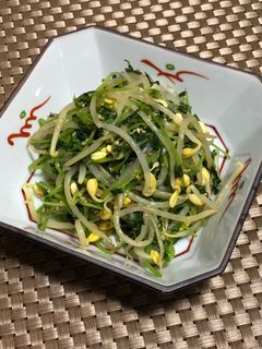 豆苗と豆もやしのナムル-レシピのメイン写真