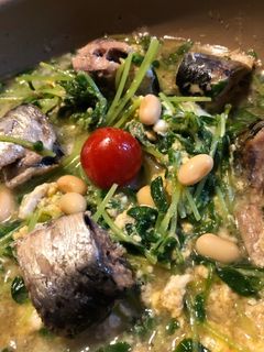 サバ缶と豆苗の卵とじ-レシピのメイン写真