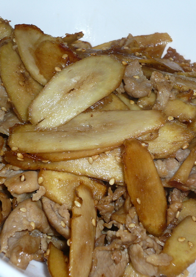 我が家の定番♪ごぼうと豚肉の炒め物-レシピのメイン写真