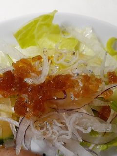 ちりめん和風サラダ♪-レシピのメイン写真