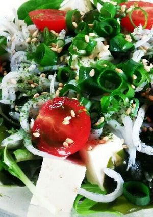 しらすと豆腐の和風サラダ-レシピのメイン写真
