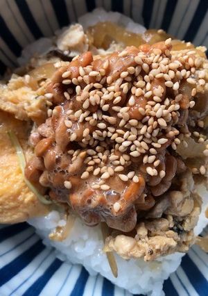 なんちゃって納豆親子丼-レシピのメイン写真