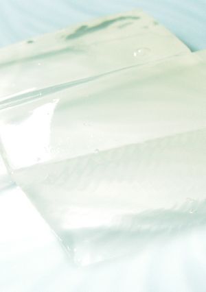 清酒ゼリー-レシピのメイン写真