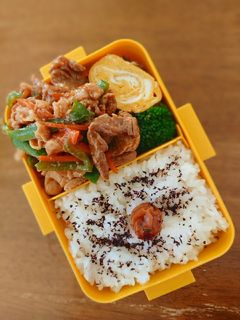 焼き肉弁当☆-レシピのメイン写真