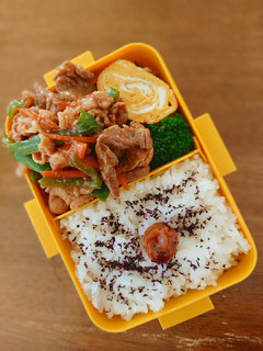 焼き肉弁当☆-レシピのメイン写真