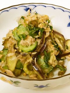【学生】ご飯がすすむさっぱりナスキュウリ-レシピのメイン写真