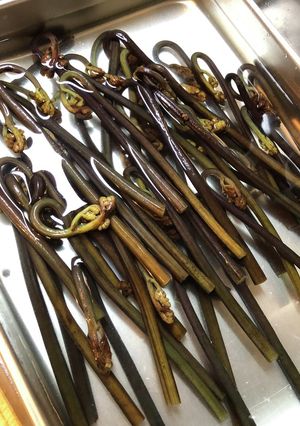 ワラビの下茹で-レシピのメイン写真