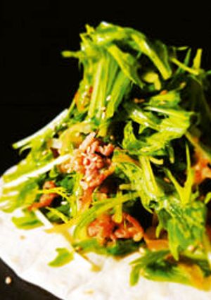 新鮮水菜とプルコギのトルティーヤ-レシピのメイン写真