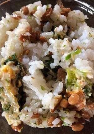 納豆とお好み焼き風卵焼きのご飯-レシピのメイン写真