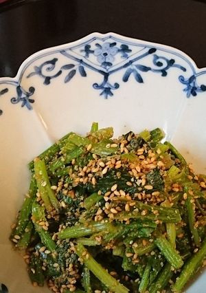 青菜の胡麻あえ～あえ衣を上手に絡めるコツ-レシピのメイン写真