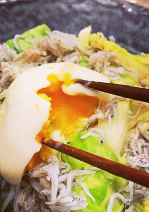 レンジで簡単！キャベツと釜揚げしらす-レシピのメイン写真
