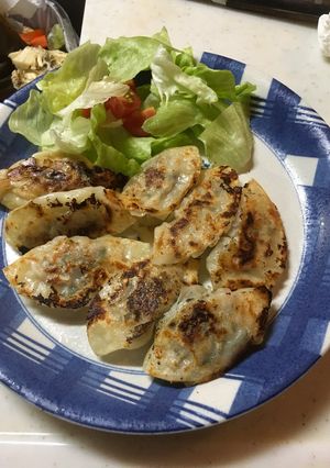 野菜餃子-レシピのメイン写真