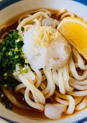 冷やしぶっかけおろしうどん-レシピのメイン写真