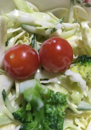 キャベツとブロッコリー、プチトマトサラダ-レシピのメイン写真
