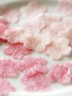 大根で桜の花びら-レシピのメイン写真