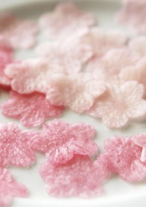 大根で桜の花びら-レシピのメイン写真