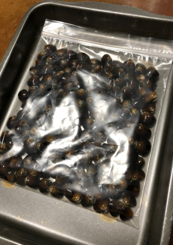 しじみの下処理と保存方法-レシピのメイン写真