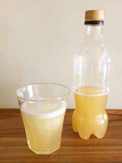 酵母でフルーツソーダ-レシピのメイン写真