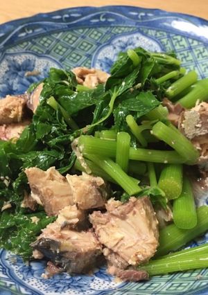 あっさり♩明日葉（アシタバ）のサバ缶和え-レシピのメイン写真