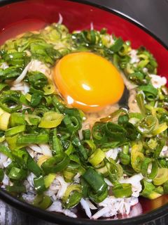釜揚げしらす丼-レシピのメイン写真