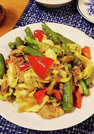 ご飯が進む、回鍋肉♪-レシピのメイン写真
