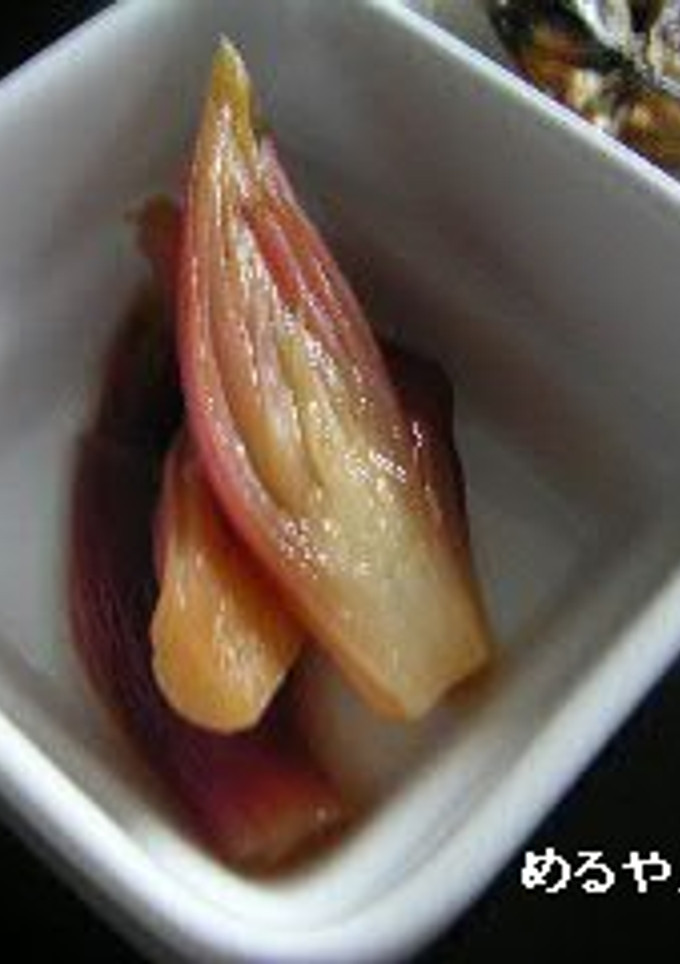 シャキシャキ♪みょうがの甘酢漬け-レシピのメイン写真