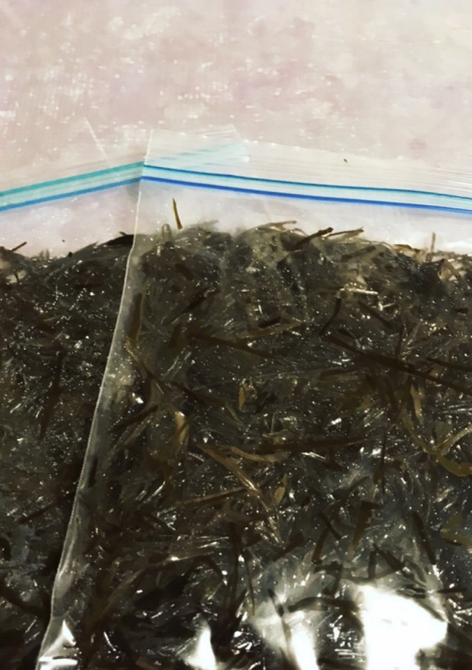 カジメの保存-レシピのメイン写真