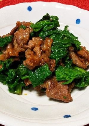牛肉とわさび菜の炒め物風-レシピのメイン写真